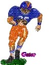 Florida Gators