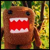 domo
