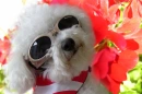 YOU LOOK MARVELOUS DARLING!