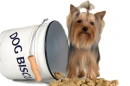DOGGIE TREATS