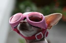 READY TO FLY