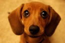 WHO ME ?
