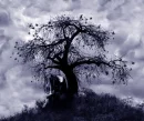 dark