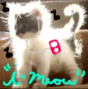 i-cat