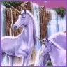 unicorns