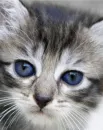 what a face...:)