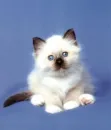 i'm so cuteee