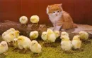 i'm the boss here...