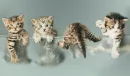 cuteeeee