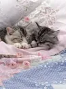 good nap