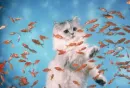 aquarium