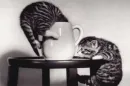 coffee cup