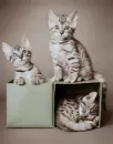 cuteee
