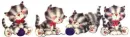 kitty line