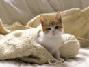 i'm to small...