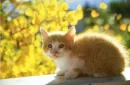 sunny day
