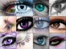 eyes