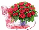 roses
