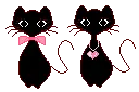funny kittens