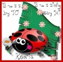 Buzzing by to say hi - Kenia