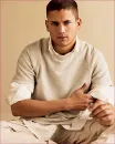 wentworth miller