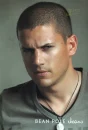 wentworth miller