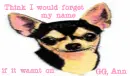 think I would forget my name