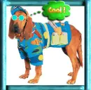 MOON DOGGIE