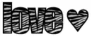 love zebra