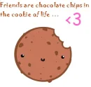 friends are chocolarte chips in the cookie of life