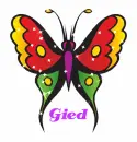 GIED