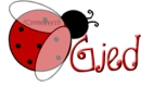 Gied