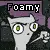 foamy