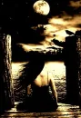 DARK LAKE