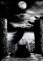 DARK LAKE