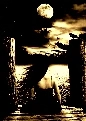 DARK LAKE