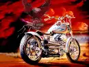 BORN FREE!
