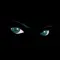 eyes