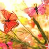 sparkling butterfly
