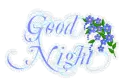 Good Night