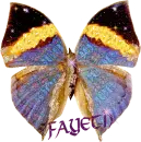 Large butterfly for Fayeth
