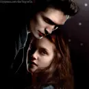 twilight cover