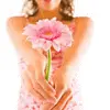 pink daisy