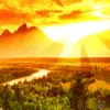 Morning sunshine