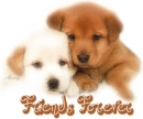 Friends Forever