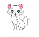 cute kitty