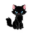 cute kitty