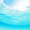 blue ocean