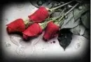 dead flowers