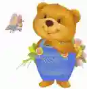 cute teddybear